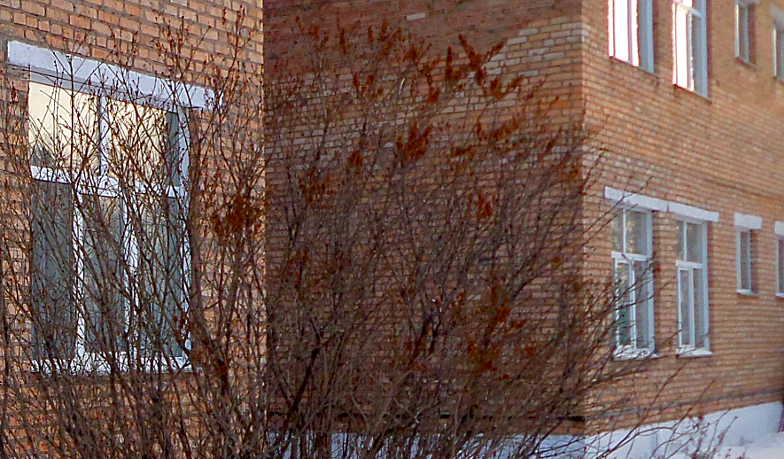 Авторское фото