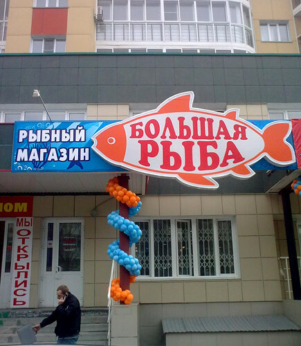 источник фото: news.ngs.ru