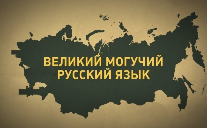 Фото: dropi.ru