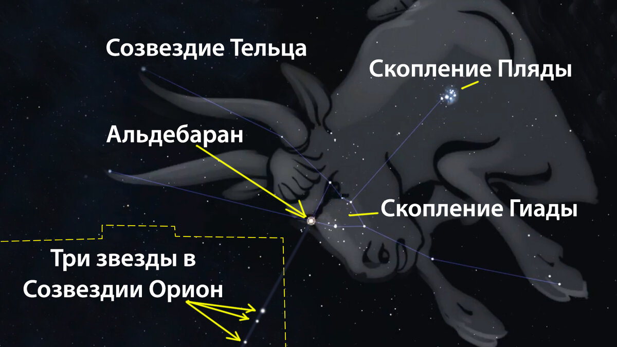 Созвездие телец презентация