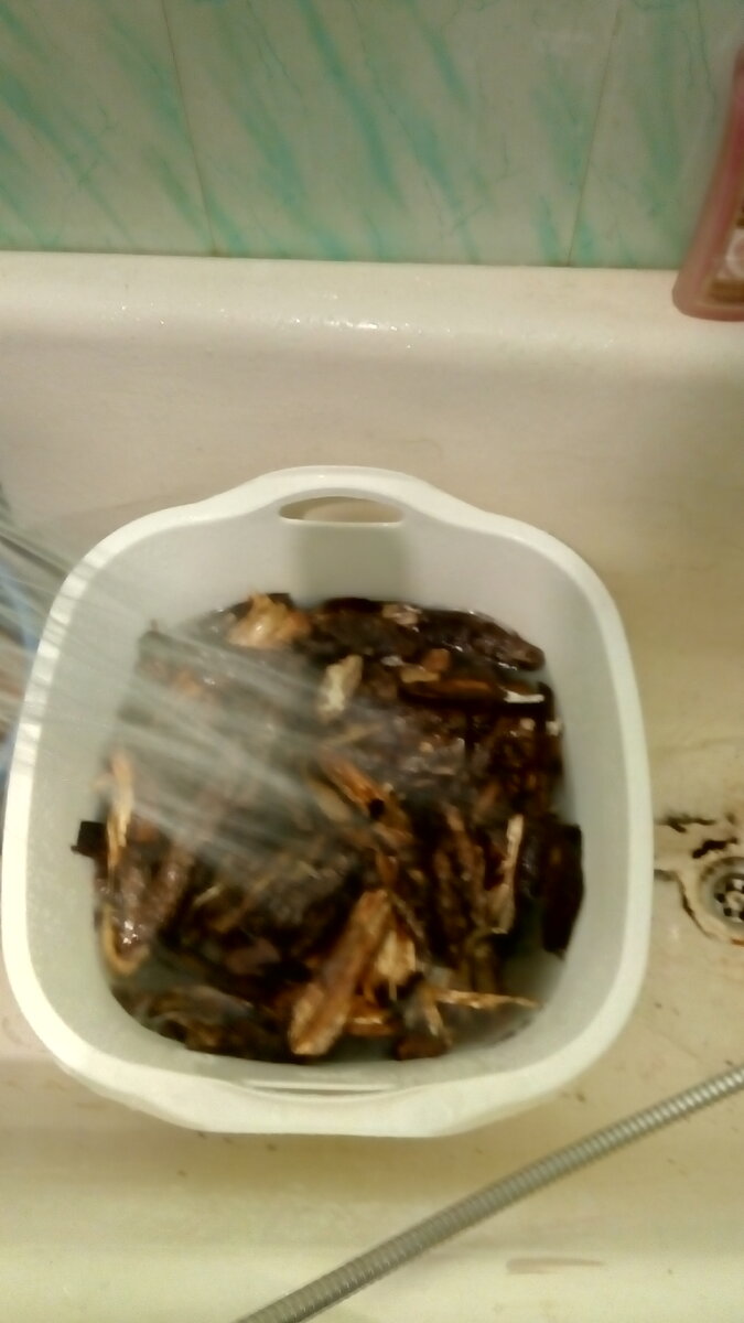 Кора на промывке