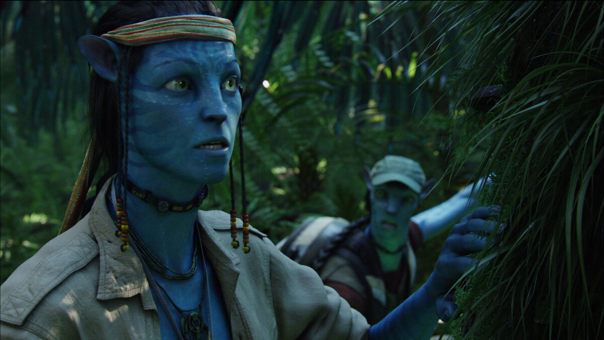 источник: https://screenmusings.org/movie/blu-ray/Avatar/pages/Avatar-0285.htm