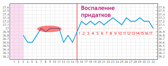 Менограмма гинекология образец