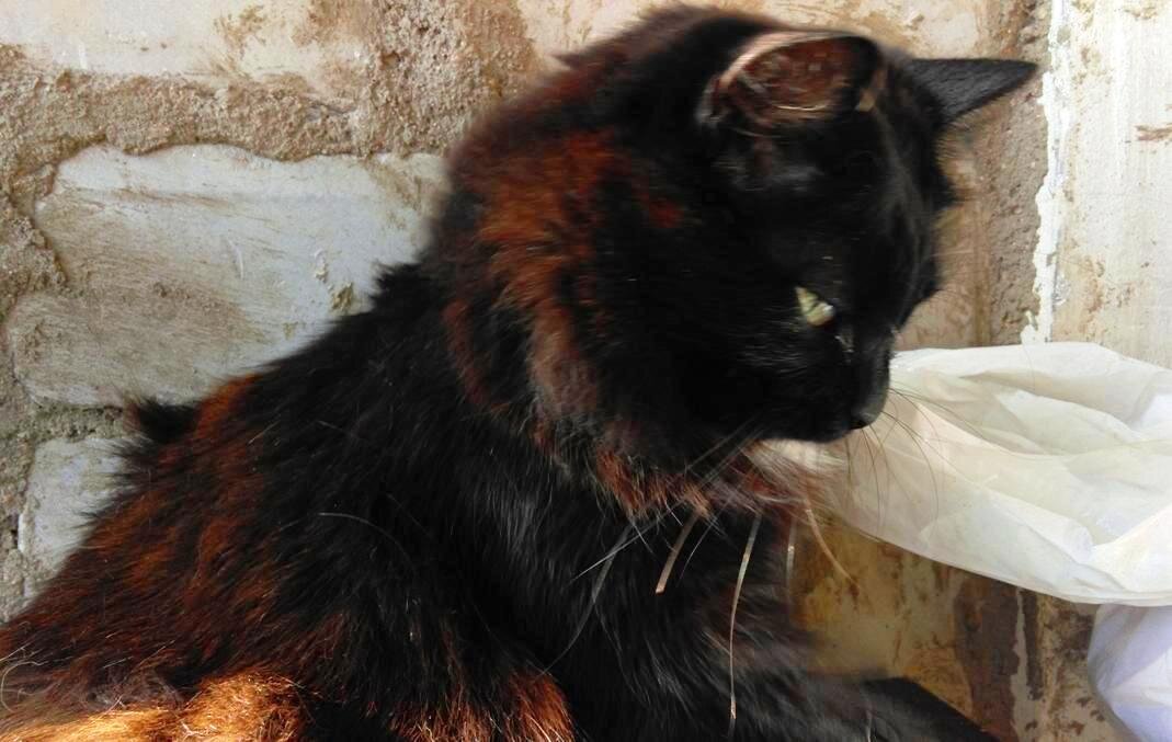 - Так... я уже почти собралась... поехали!