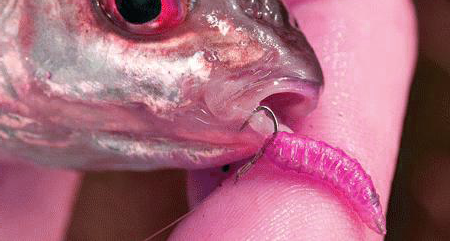 Иллюстрация из открытого источника