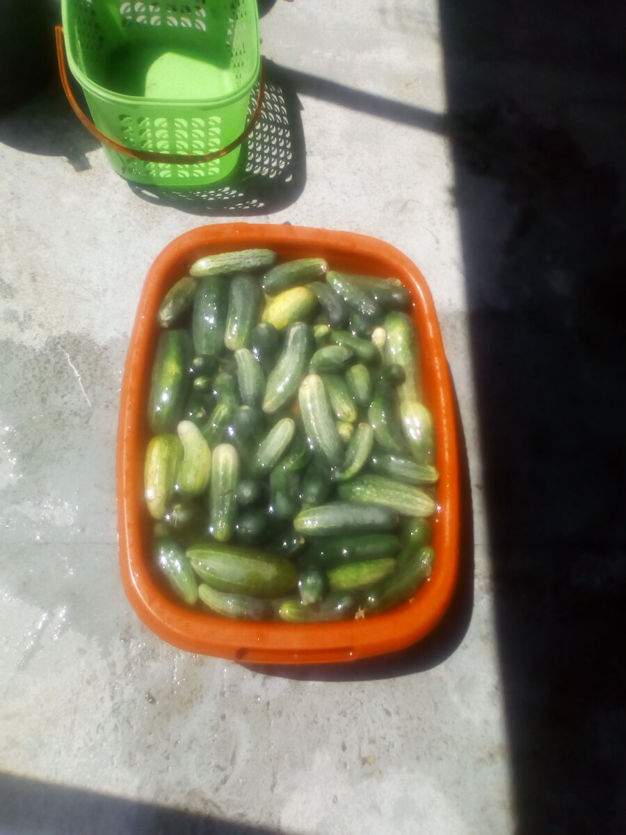 Собрала все.