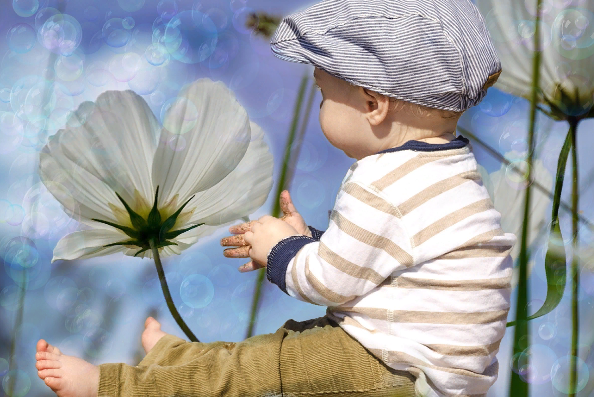 Плоды жизни дети. Цветы для детей. Дети цветы жизни. Дети наши цветы жизни. Мальчик с цветочком.
