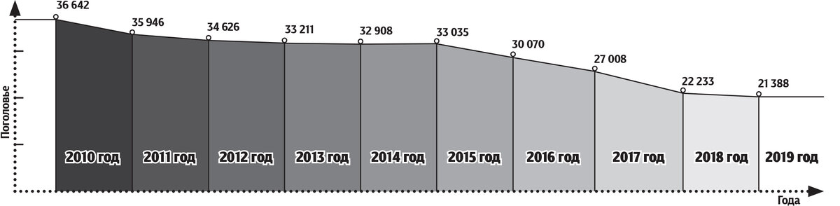 Численность поголовья овец в Благодарненском районе по годам. Инфографика Владимира ЗАЙЦЕВА «БВ»