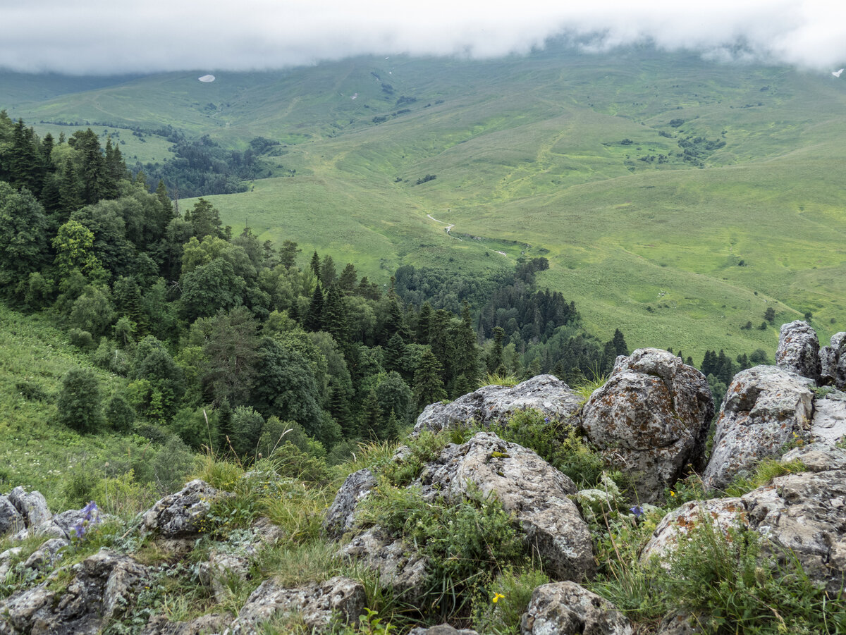 Плато Лаго Наки Альпийские Луга