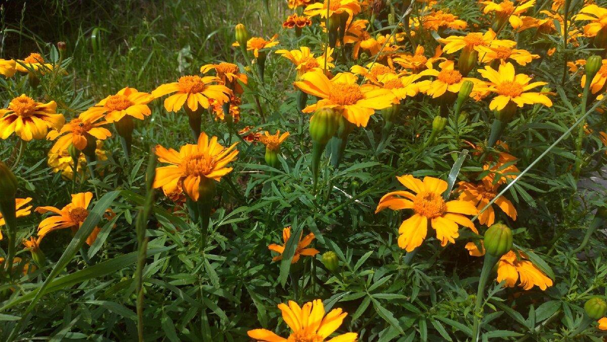 автор фото: Вначале было слово