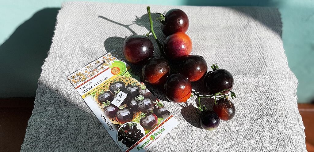 Черная гроздь. Фото автора.