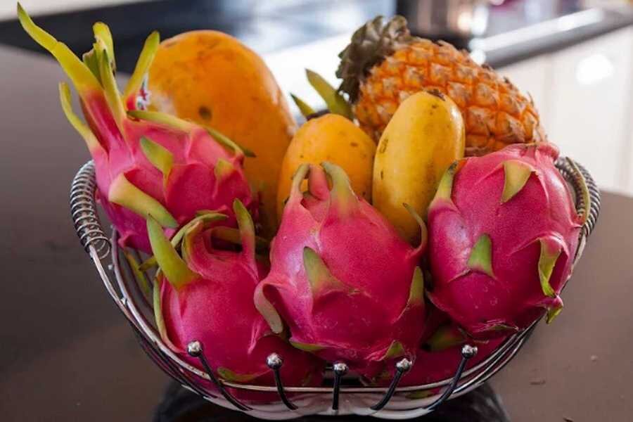 Перевозка фруктов из тайланда. Фрукты из Тайланда. Экзотические фрукты Тайланда. Тропические цветы и фрукты. Экзотические фрукты с цветами.