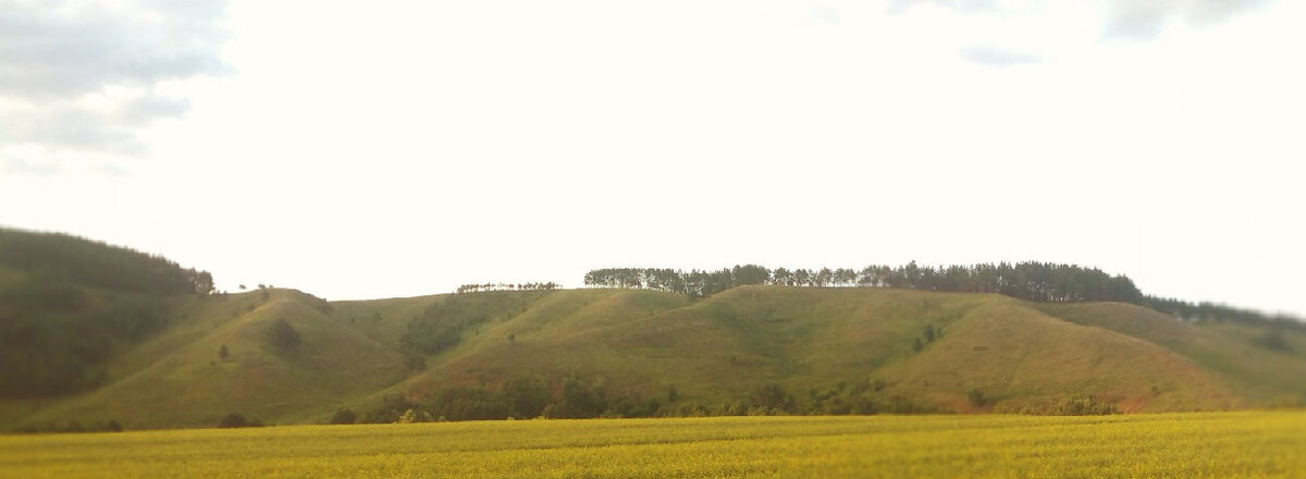 собственное фото