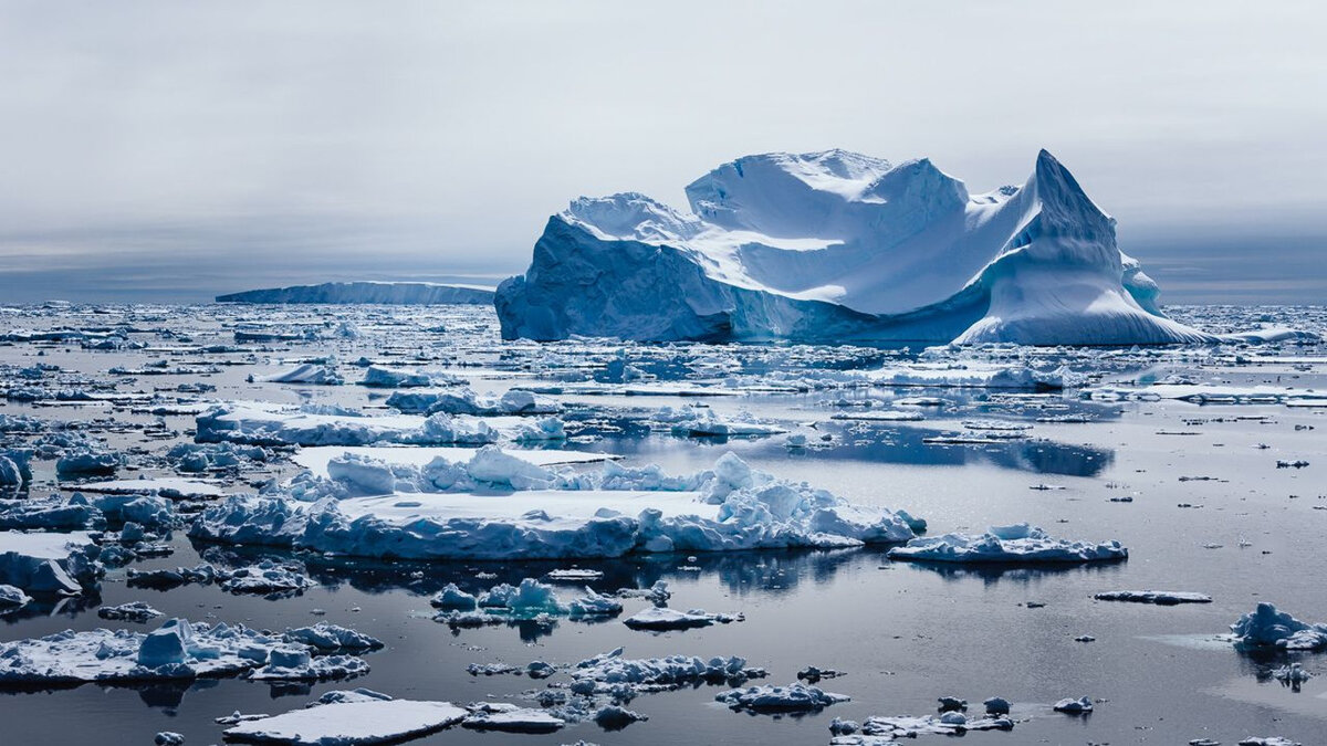 На севере потепление. Таяние ледников в Арктике. Глобальтное потемредае. 1глобпдьное потепление. Глабальная потепленение.