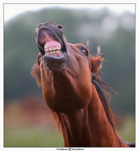 источник: pinterest.ru