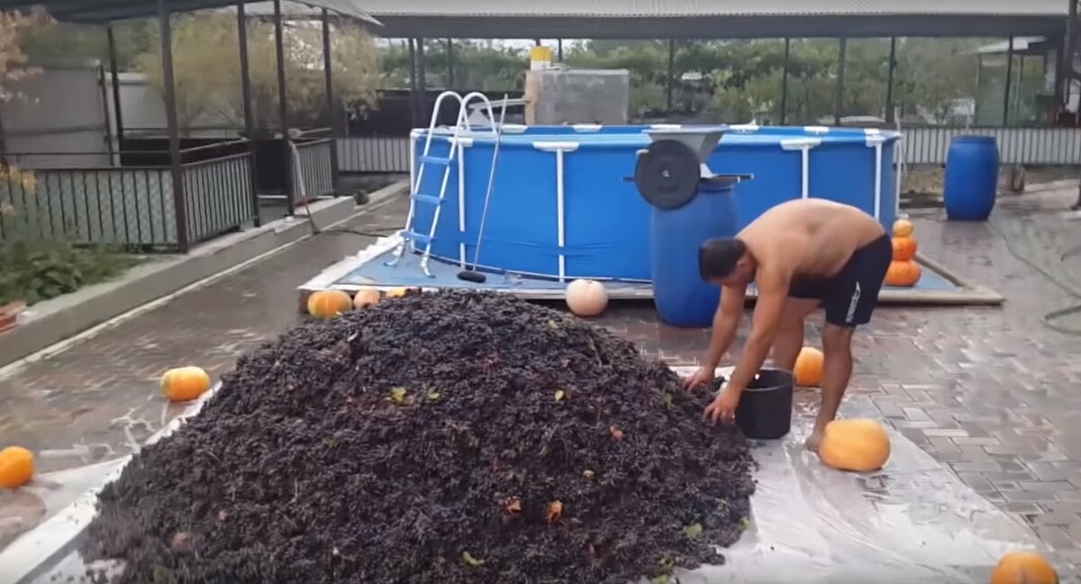 Вино из винограда в домашних условиях. Простой рецепт домашнего вина