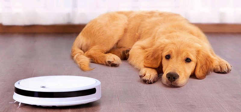 Дышать свежим воздухом без частичек пыли, ходить по чистой поверхности, при этом не нагружая себя домашними делами – все это возможно с Robot Vacuum Cleaner Lite International.
