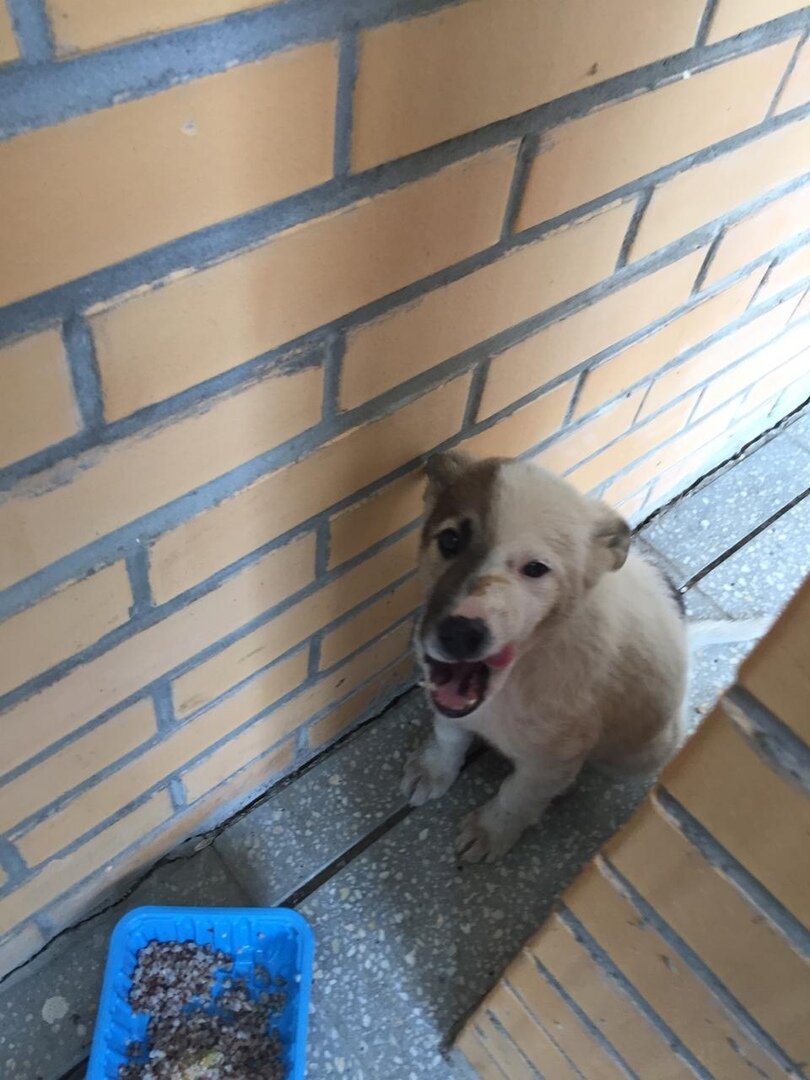 Вот в таких условиях Норд жил до того, как его забрали