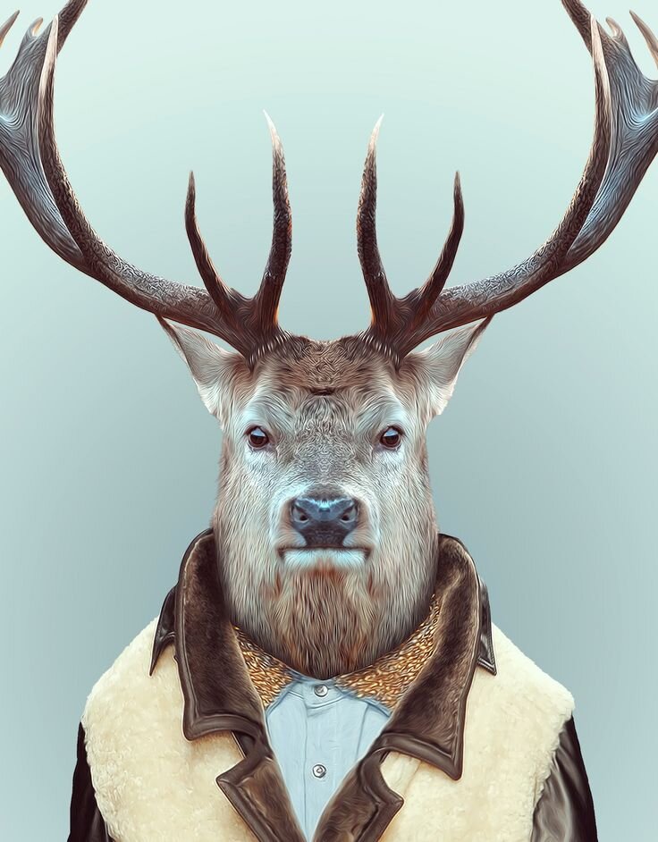 Яндекс картинки