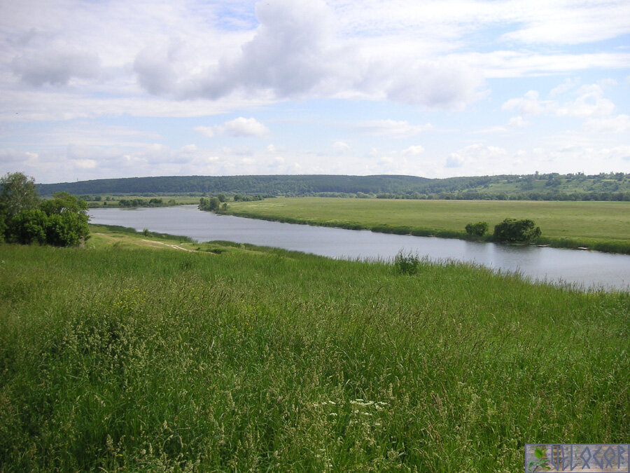 Взгляд налево (2 фото)