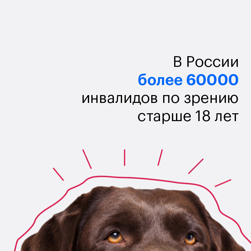 Выше моей собаки. Выше моей собаки