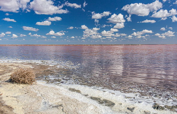 из открытого источника Яндекс.Картинки