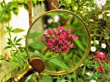 Источник фото: Pixabay.
