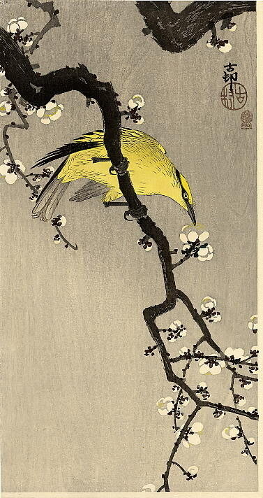 «Птица» японского художника Охара Косона. Ресурс фото: Artchive.ru.