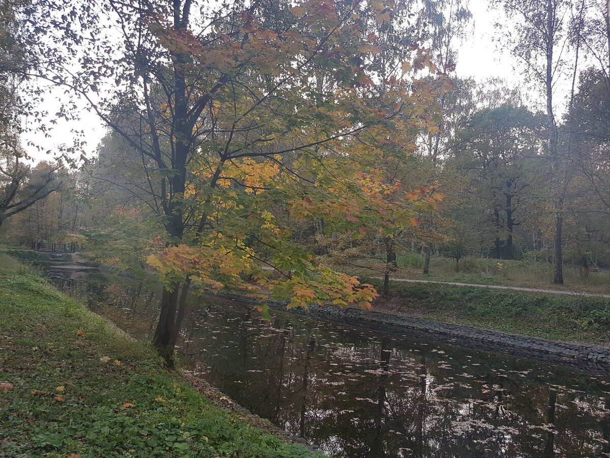 Осенняя зарисовка.