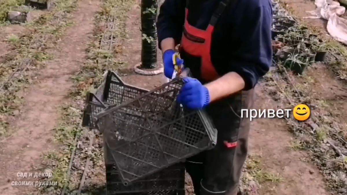 Вертикальный многоэтажный парник который поместится в углу любого дома