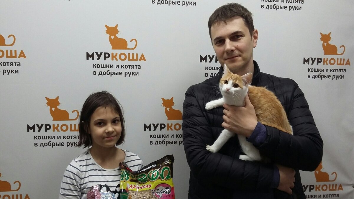 Судьба улыбнулась им и подарила шанс на домашнее счастье 🐱🏠😻 | Центр  помощи кошкам «Муркоша» | Дзен