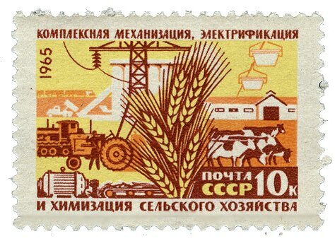 Фото Яндекс картинки