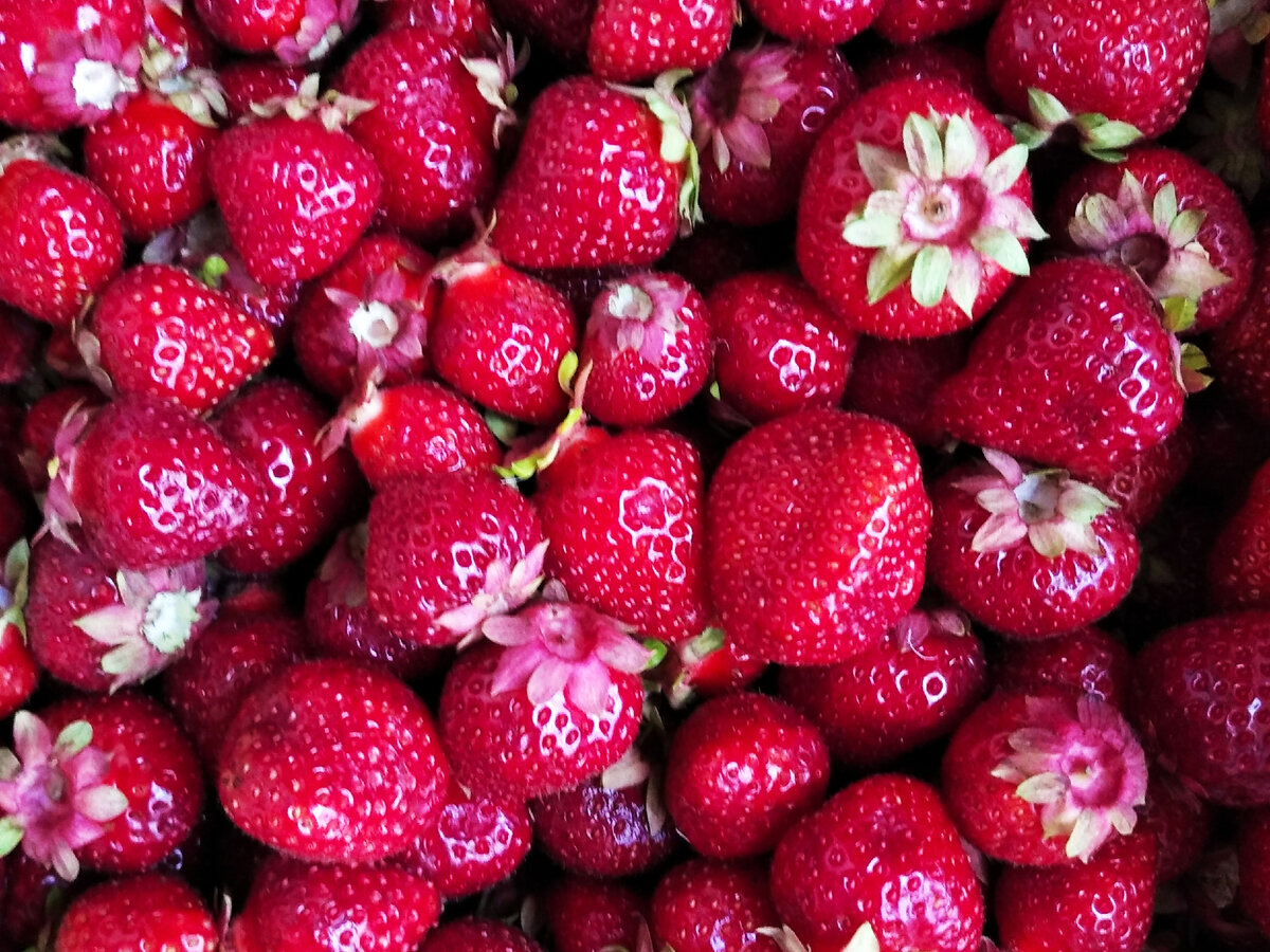 Каждый индекс вбирает в свою корзину лучшее по заранее заданным параметрам.