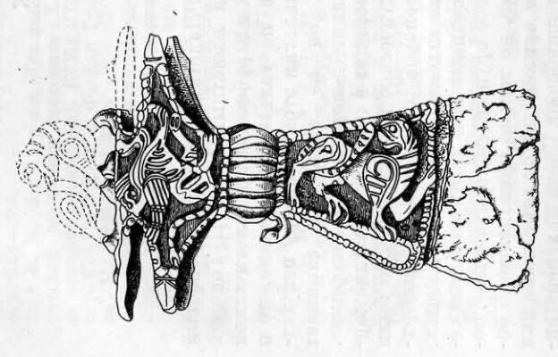 Топорик из Старой Ладоги. Прорисовка из археологического каталога начала XX века