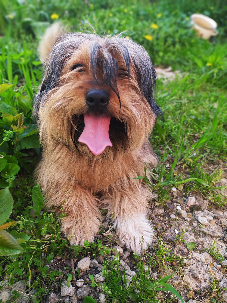 Мой доминатор❤