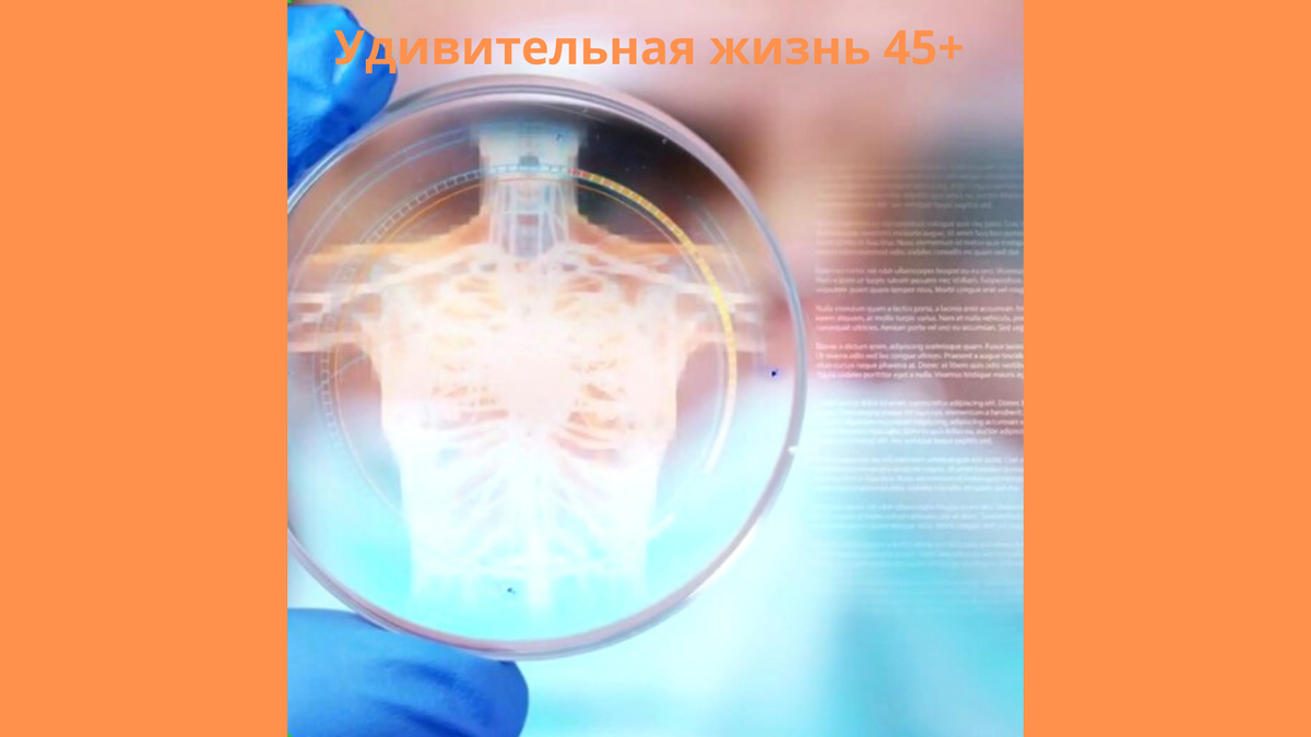 Фотография взята из открытых источников