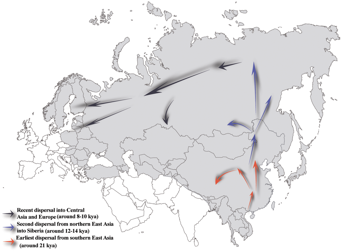 Генетическая история финно-угров в России. Загадки этноса | SpaceNET  (генетическая история) | Дзен