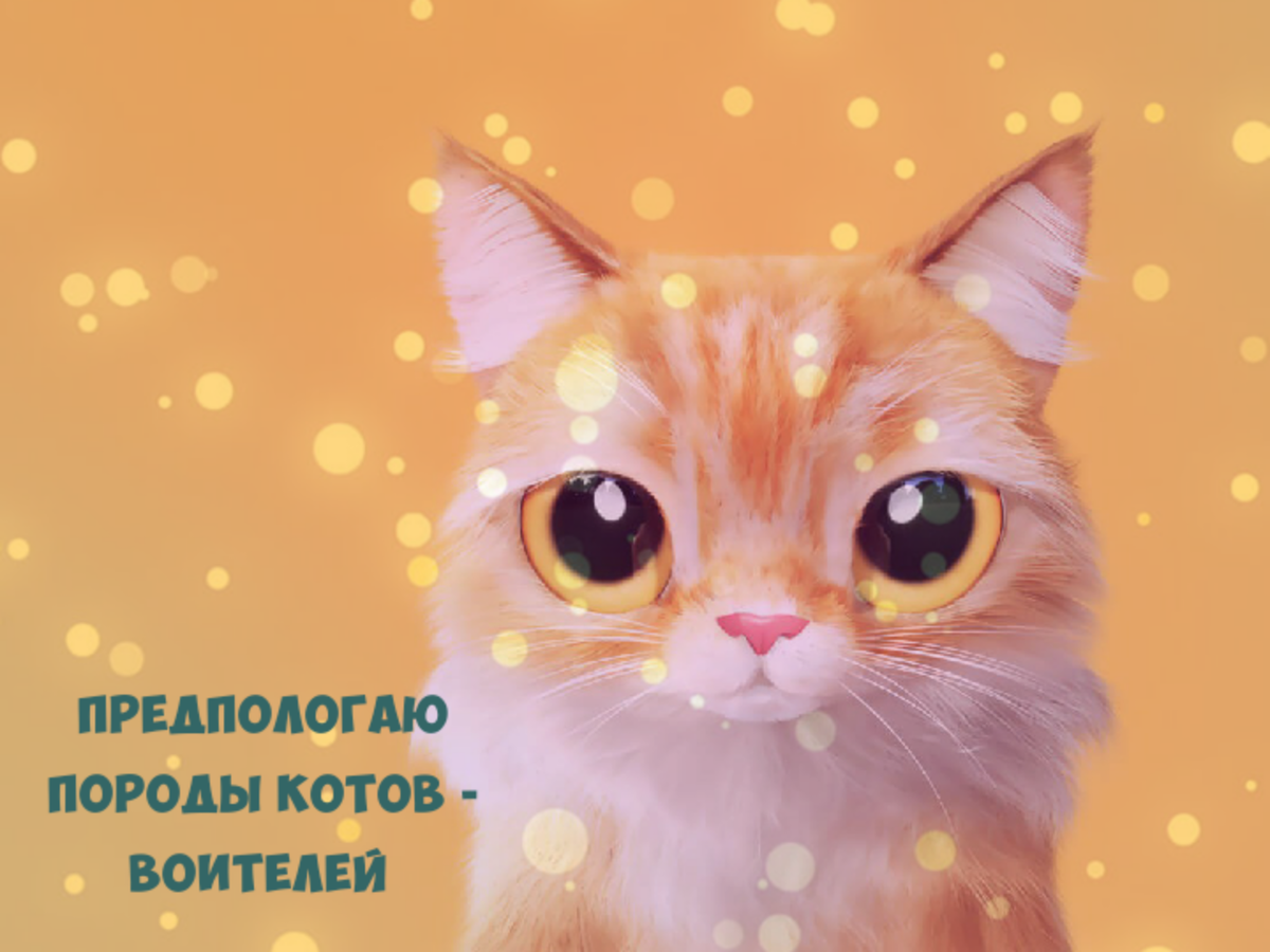 КотВоитель наконец-то сделала превьюшку! 