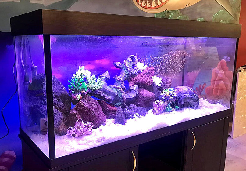 Изображение взято из открытого источника