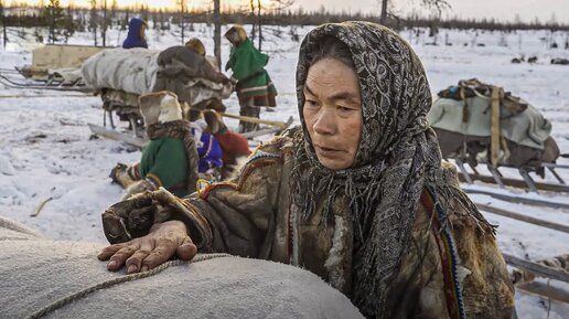 Ненцы, энцы, нганасаны, селькупы. Языки кочевников. История. Жизнь. Культура. Быт