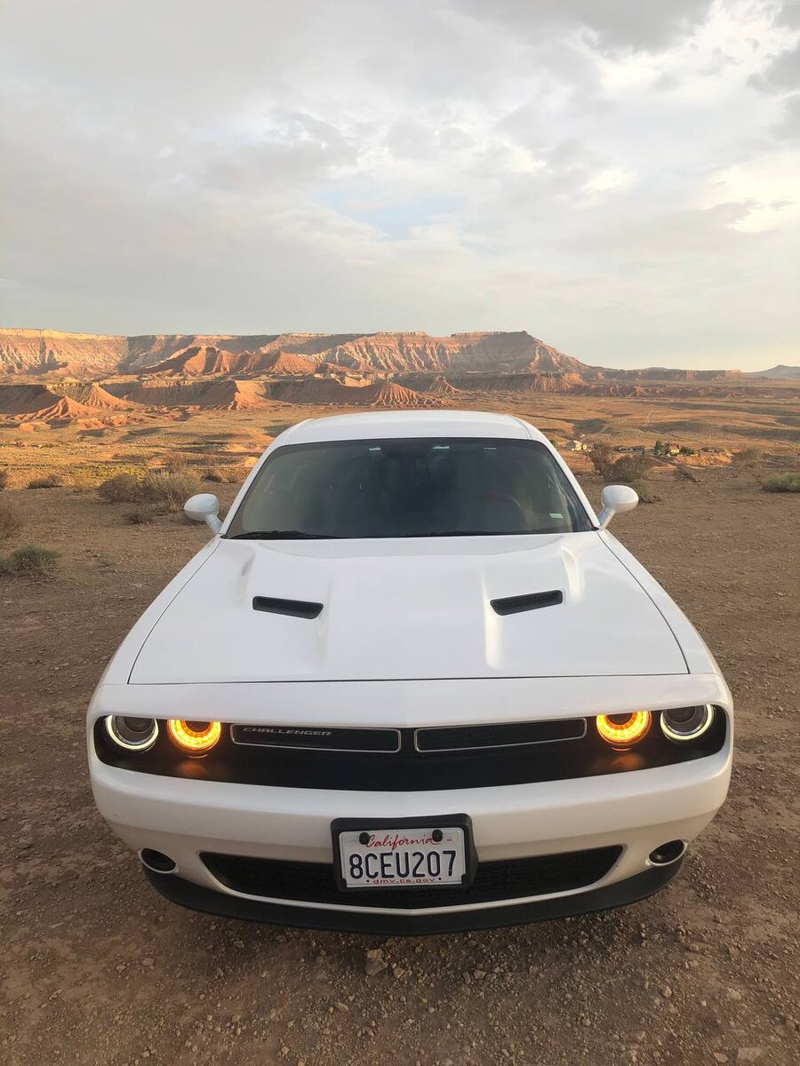 Он прекрасен