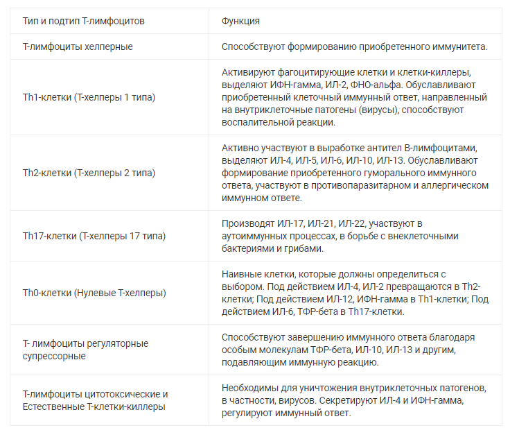 Типы, подтипы Т-лимфоцитов и их функции