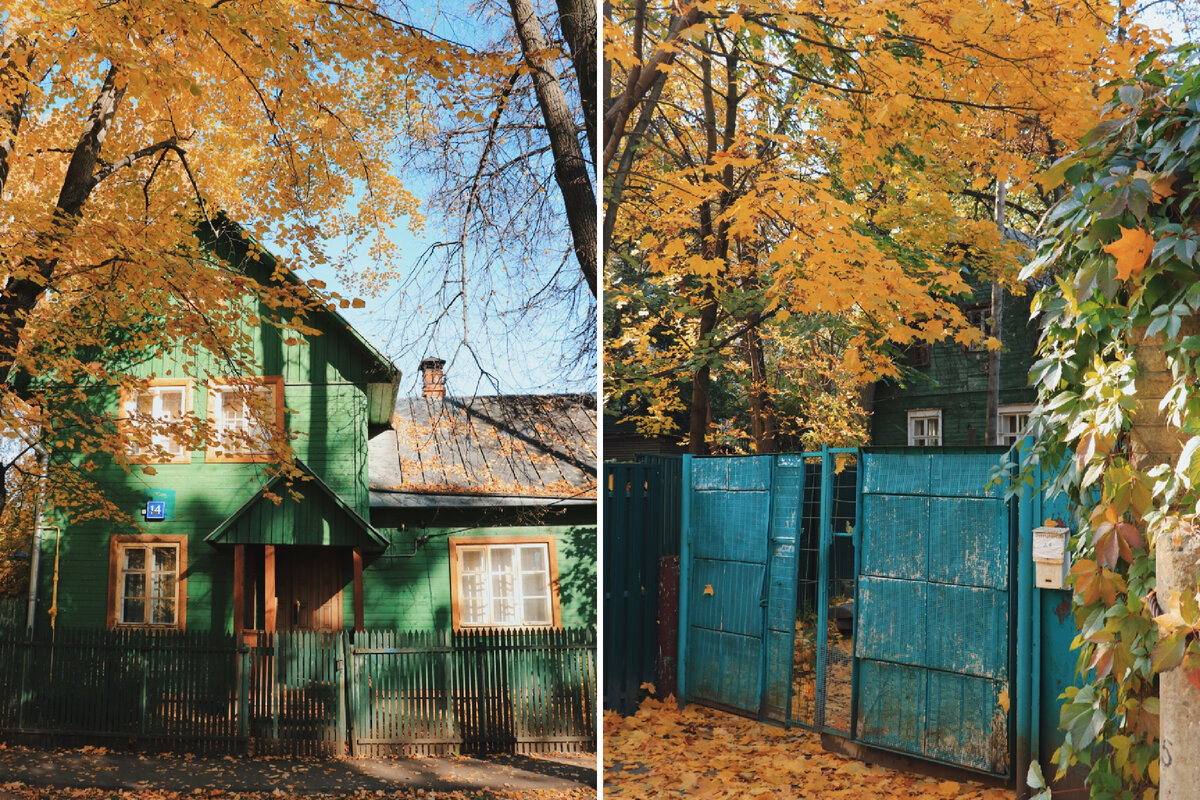 Поселке найди. Деревья 100 лет назад. Деревья на домах в городе. Деревянные дома в городе.