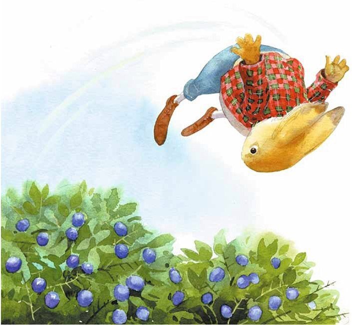 Фото из открытых источников.