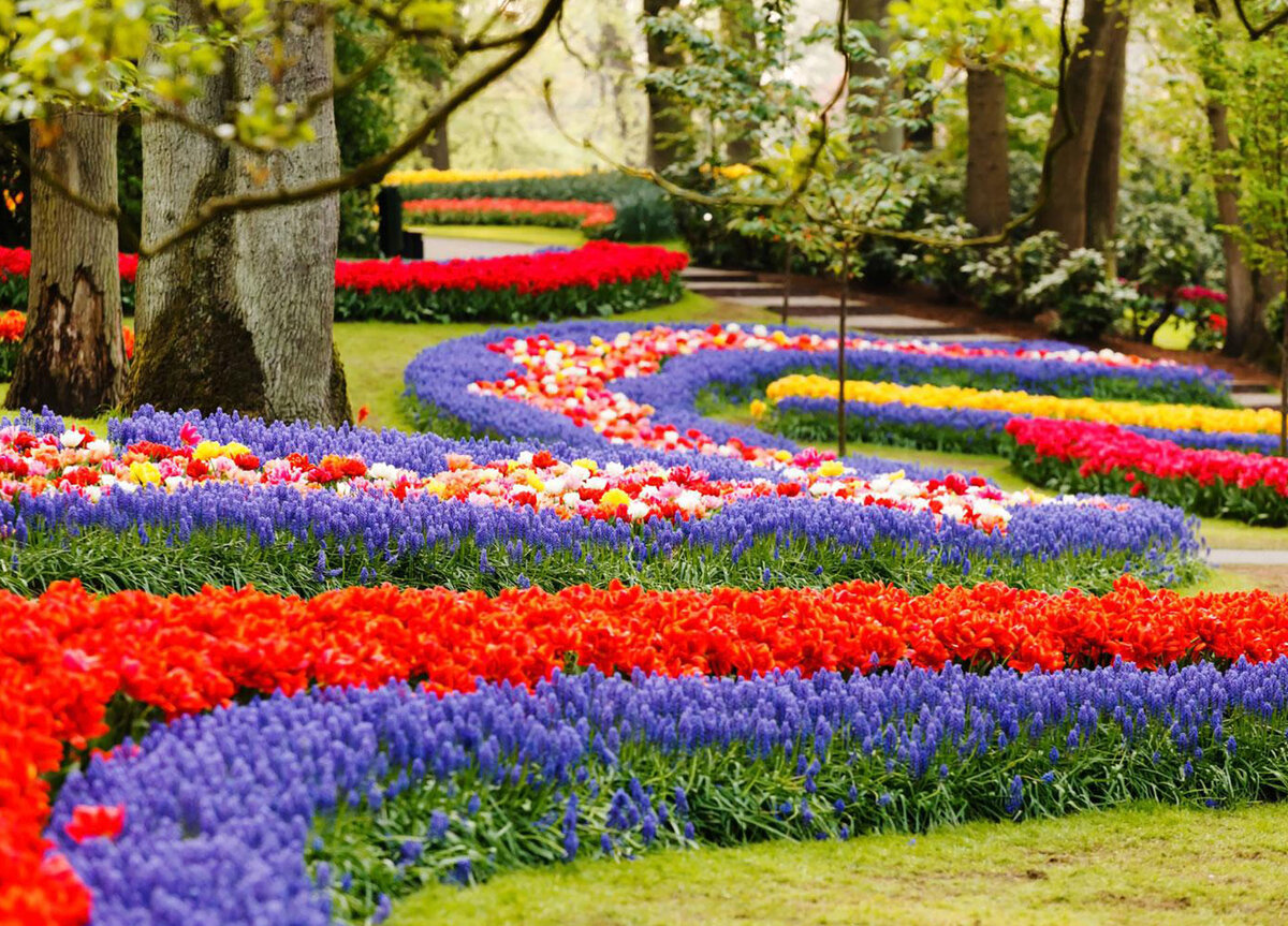 Keukenhof Gardens Нидерланды