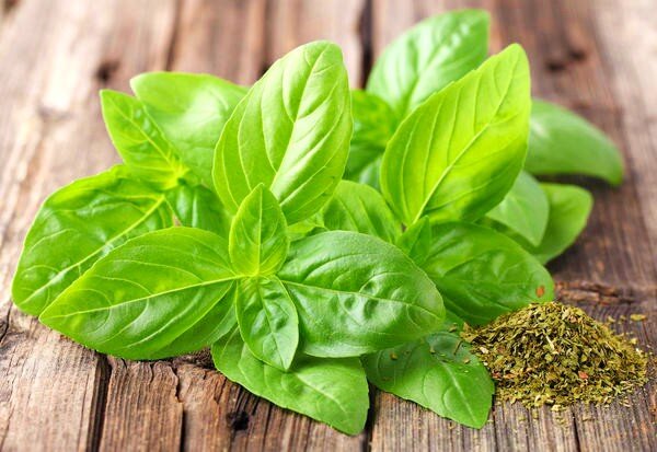 Базилик полезен и для мужчин 