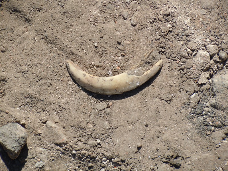 6 июня 2021 г. Мы продолжаем делать то, что мы уже много наделали (В. С. Черномырдин). Побывал в кремле и поснимал. Там территория закрыта и охрана не пускает.-12