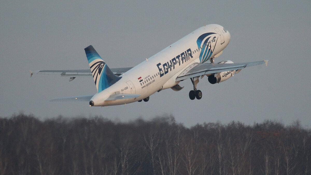    Самолет авиакомпании Egypt Air.© РИА Новости . Алексей Куденко