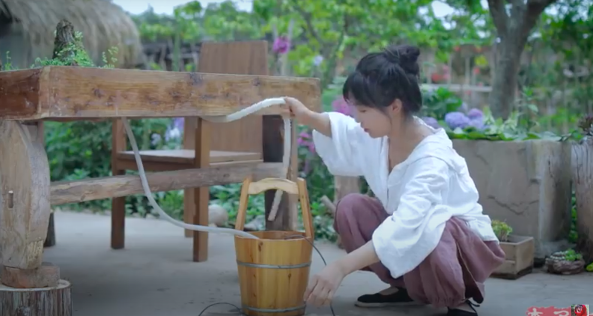  李子柒 Liziqi
