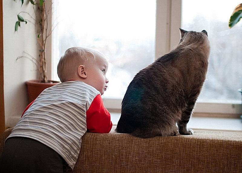 Фото из Интернета.